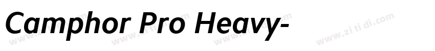 Camphor Pro Heavy字体转换